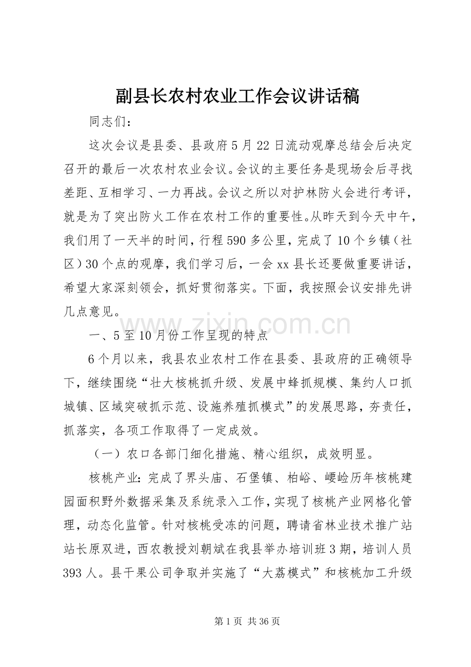 副县长农村农业工作会议讲话稿.docx_第1页