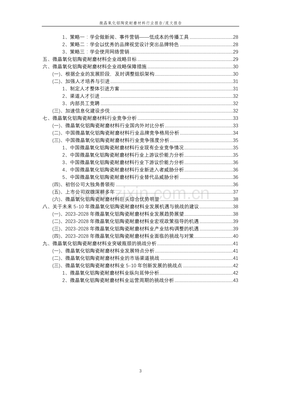 2023年微晶氧化铝陶瓷耐磨材料行业分析报告及未来五至十年行业发展报告.docx_第3页