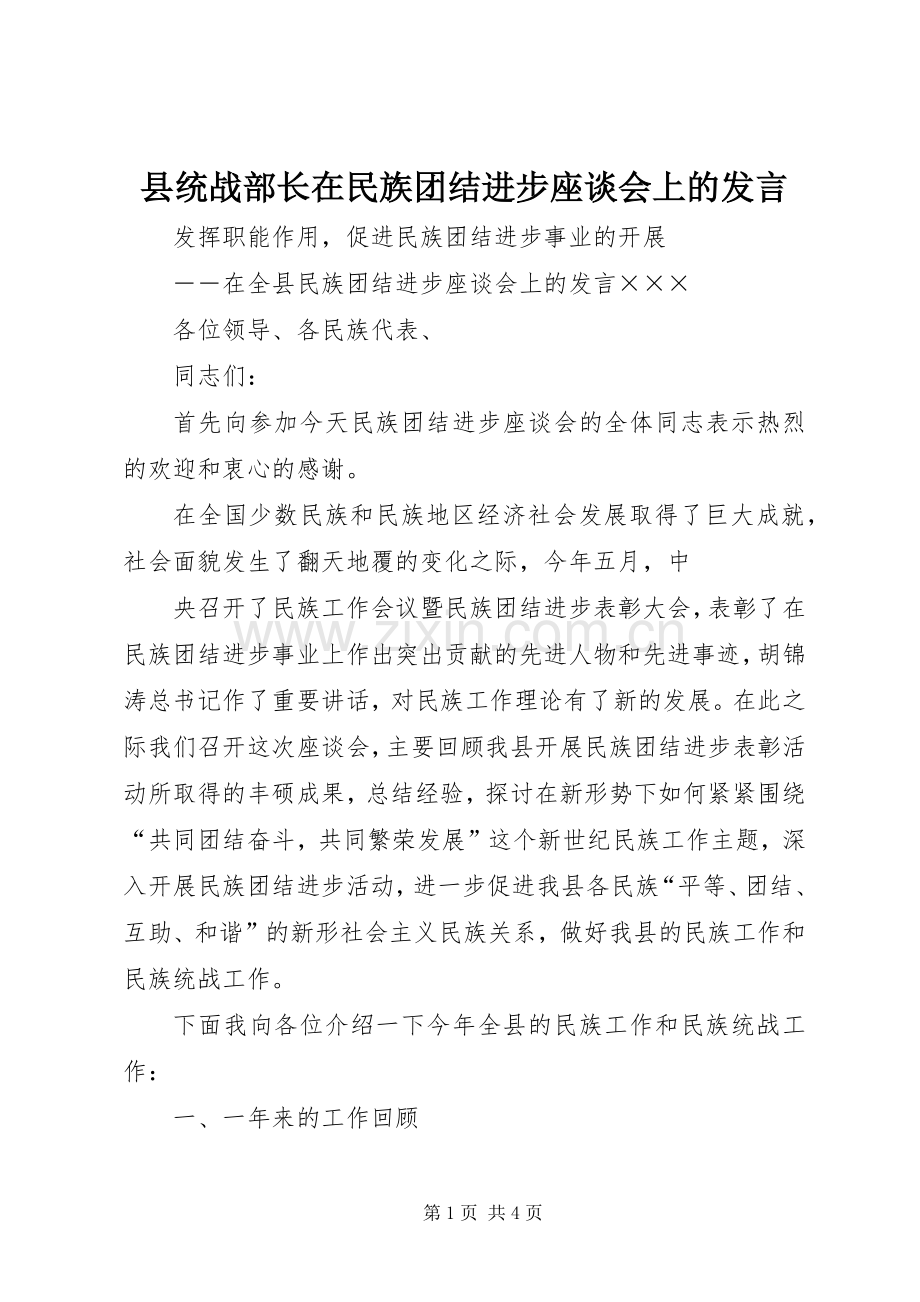 县统战部长在民族团结进步座谈会上的发言稿.docx_第1页