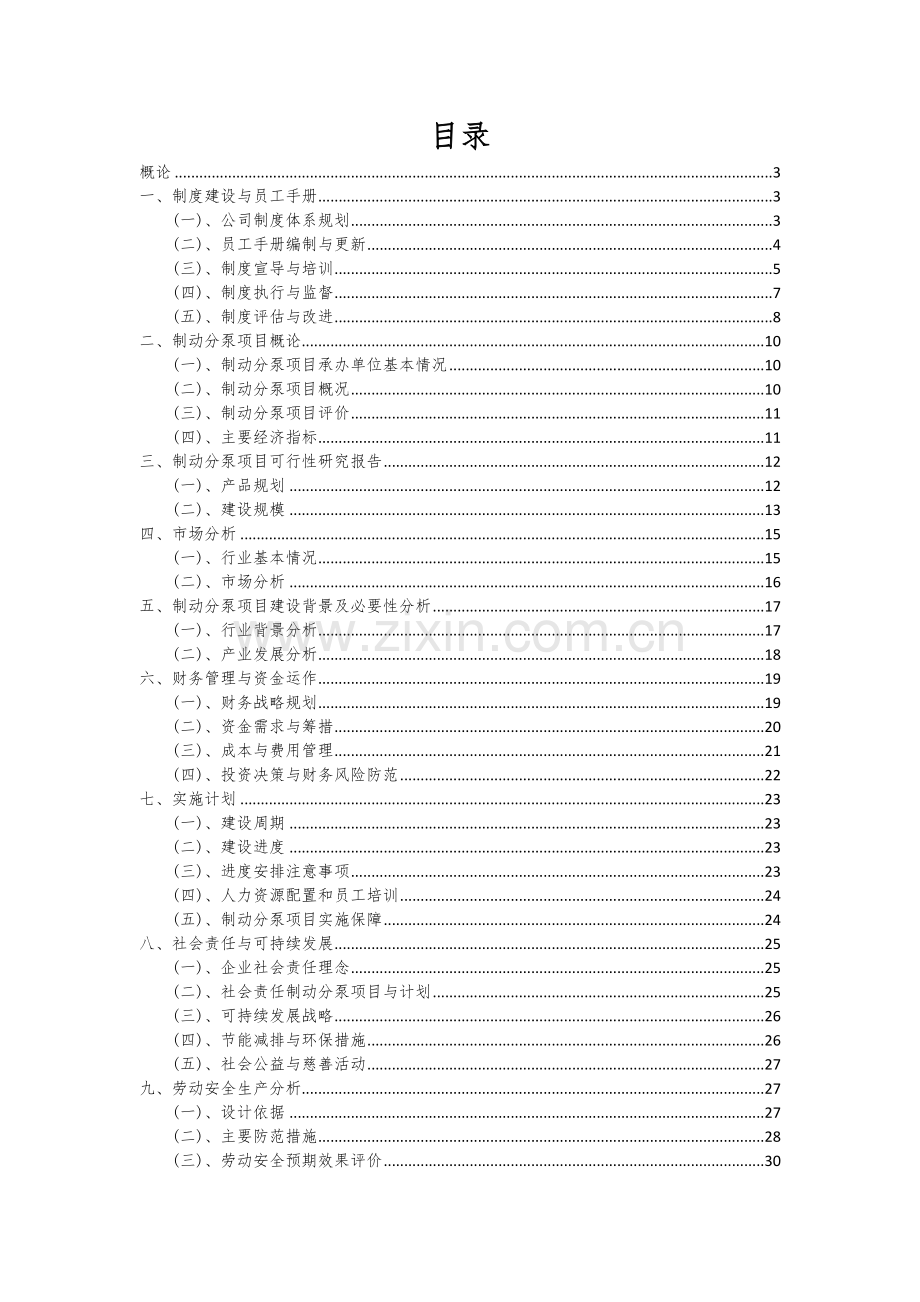 制动分泵项目可行性分析报告.docx_第2页