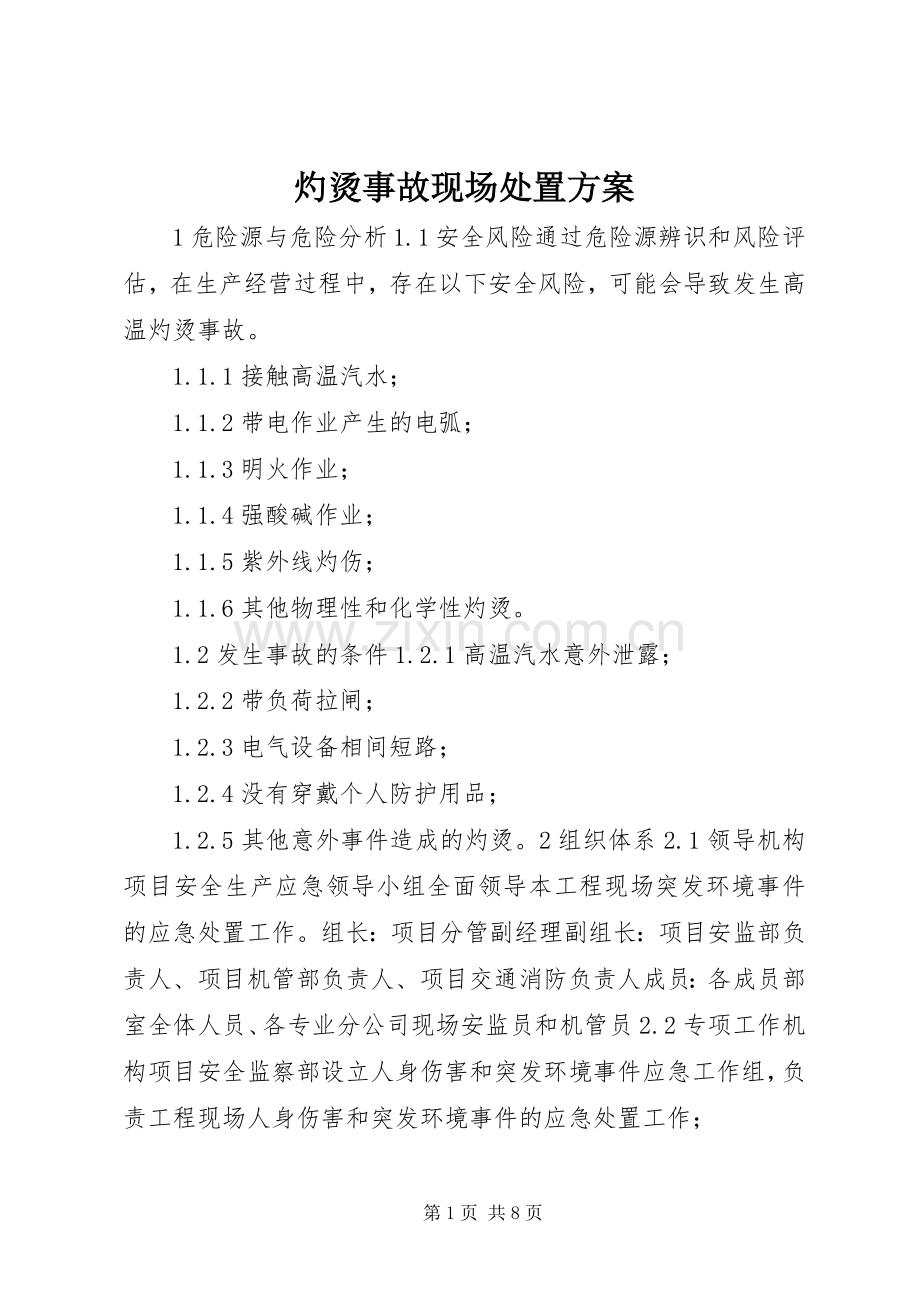 灼烫事故现场处置实施方案.docx_第1页