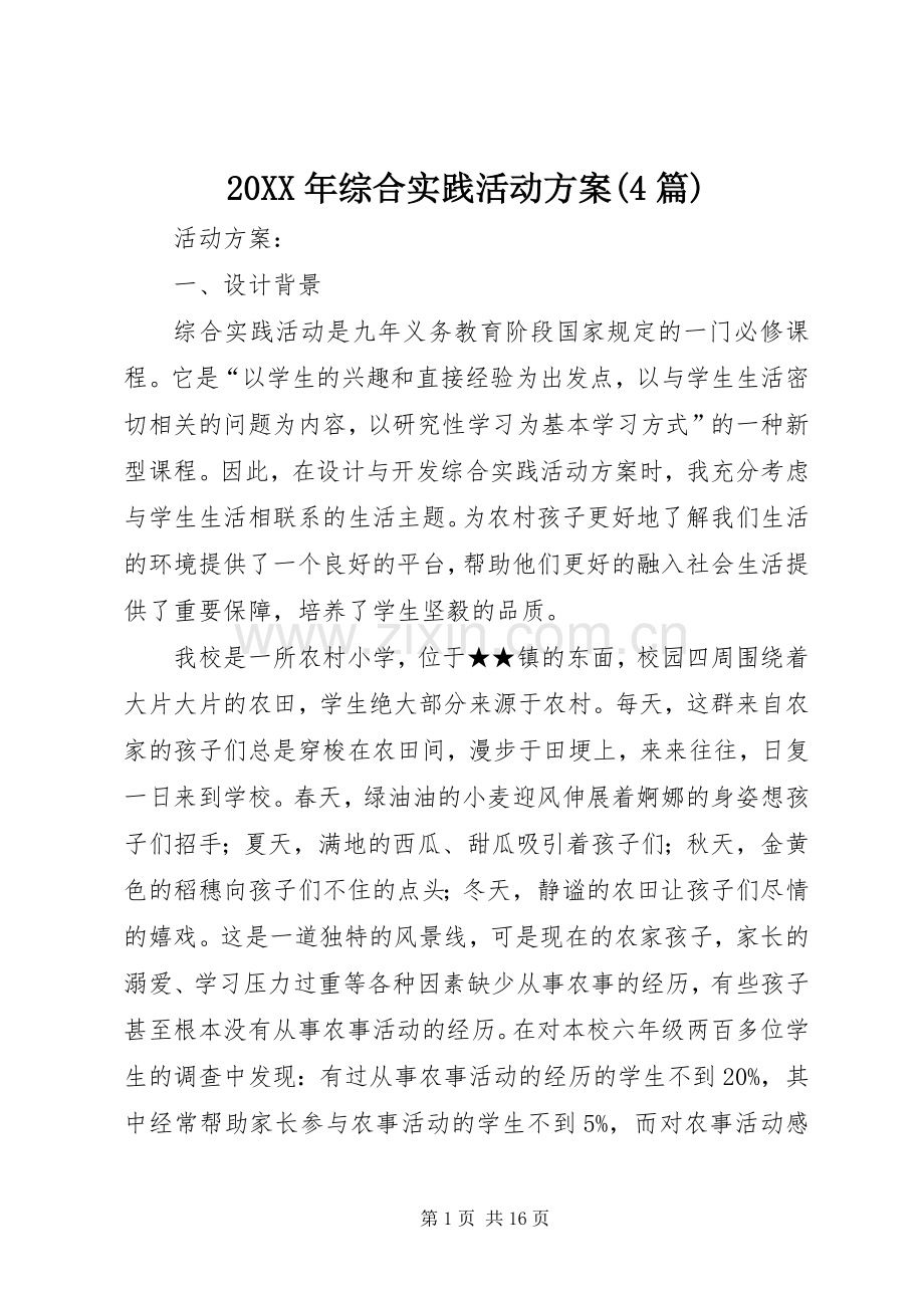 XX年综合实践活动实施方案(篇).docx_第1页