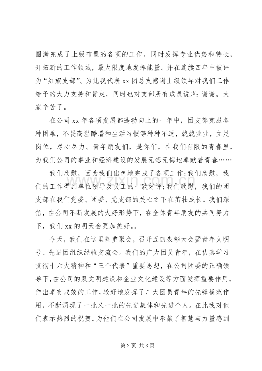 五四红旗团支部代表发言稿.docx_第2页