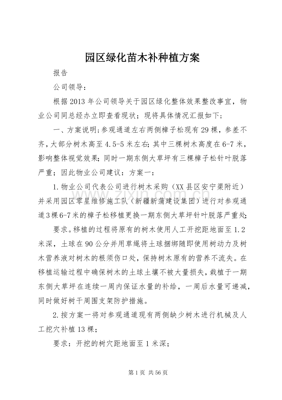 园区绿化苗木补种植实施方案.docx_第1页