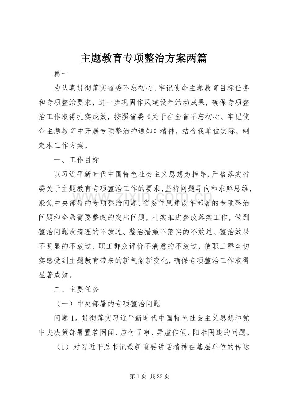 主题教育专项整治实施方案两篇.docx_第1页