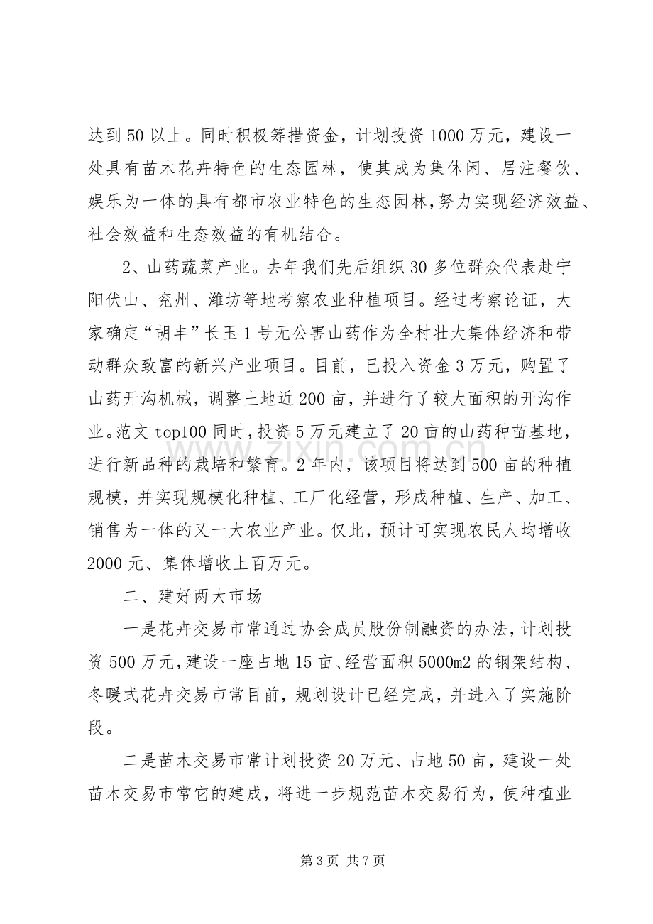 新当选村主任表态发言稿.docx_第3页