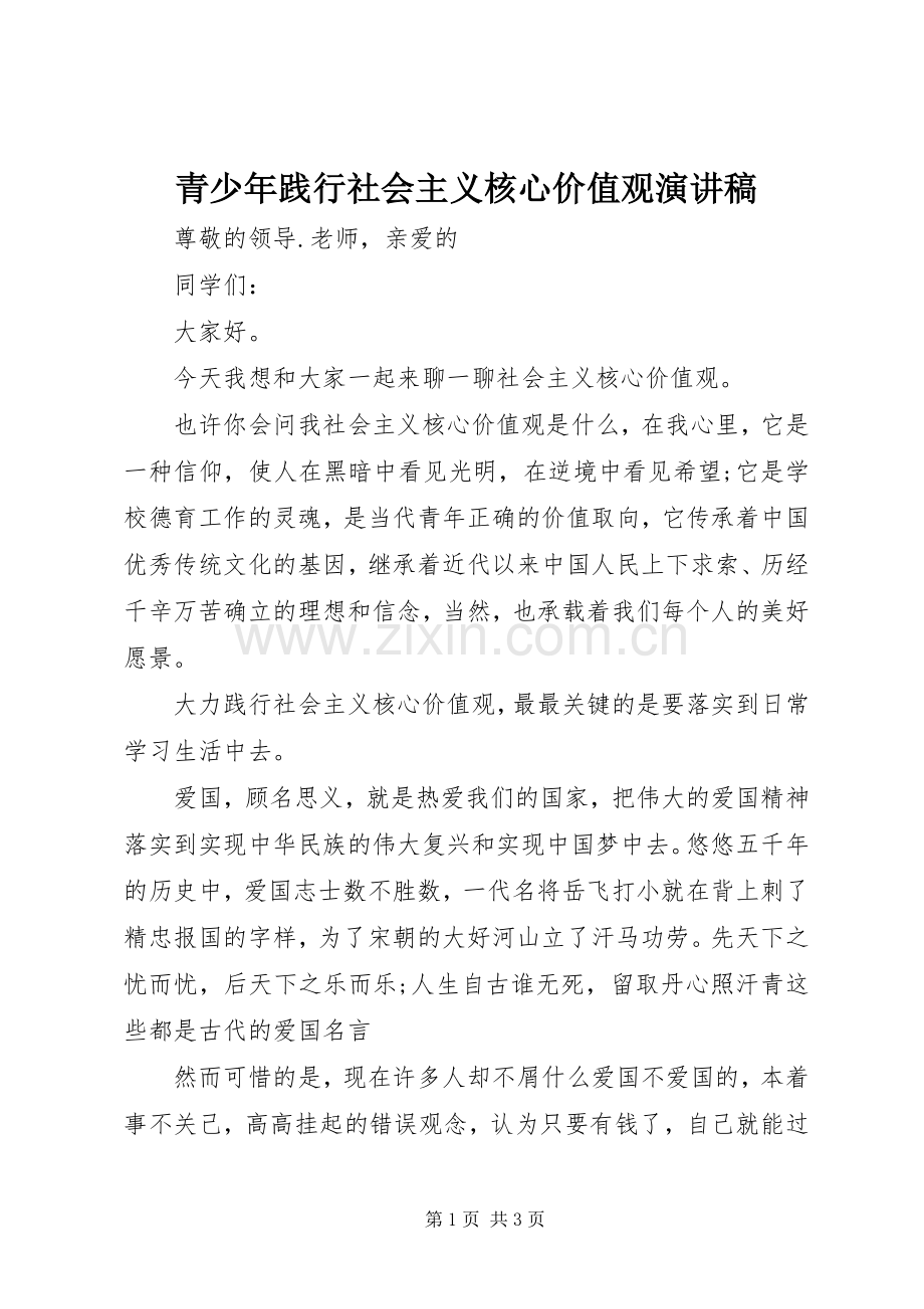 青少年践行社会主义核心价值观演讲稿.docx_第1页