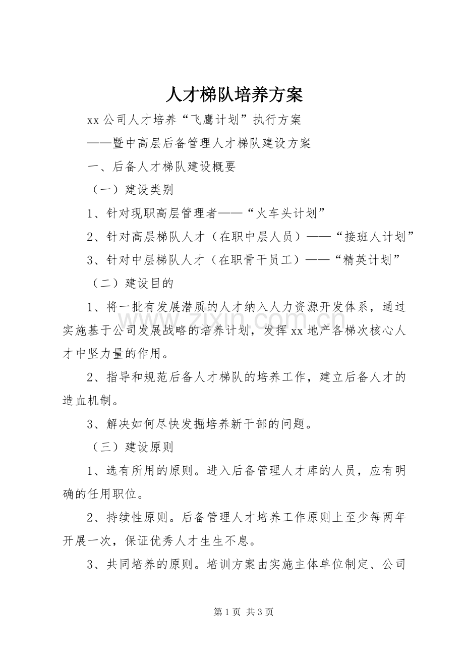 人才梯队培养实施方案.docx_第1页