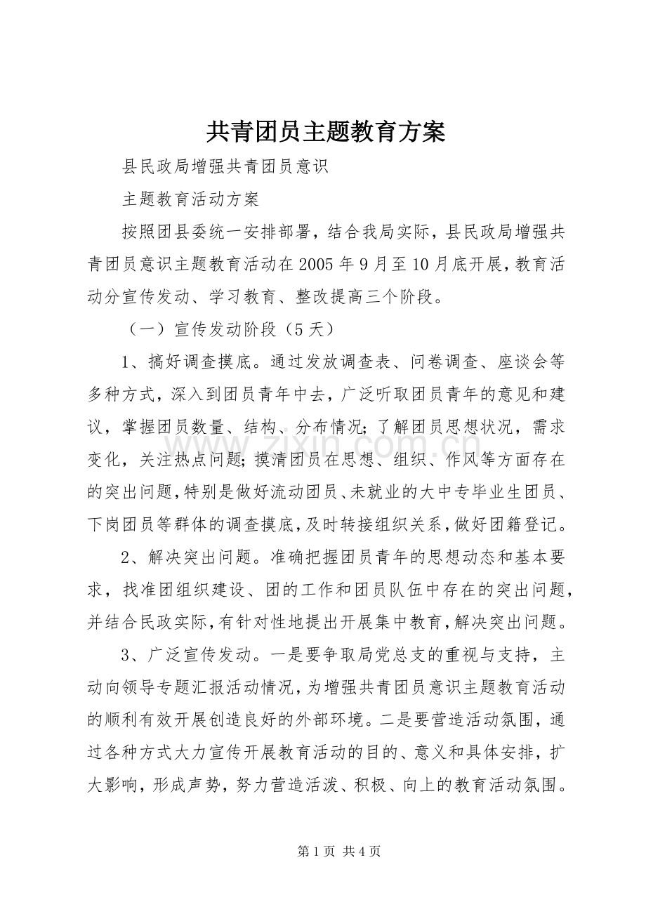 共青团员主题教育实施方案.docx_第1页