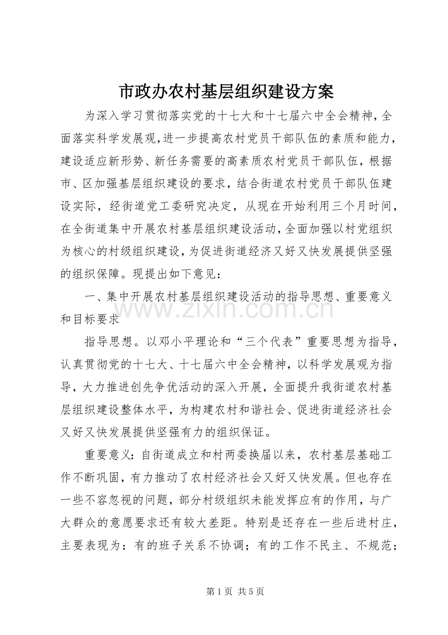 市政办农村基层组织建设实施方案.docx_第1页