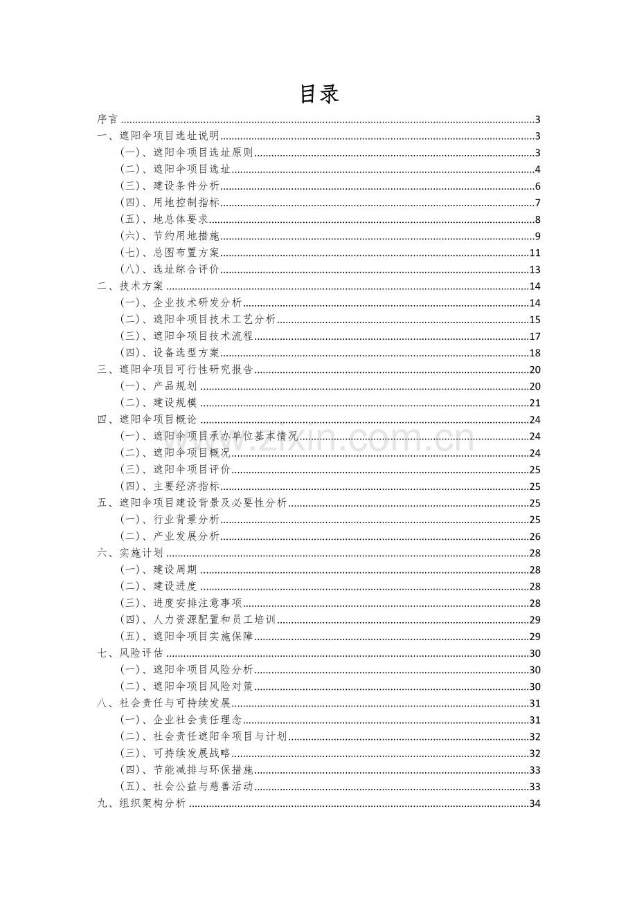 遮阳伞项目可行性分析报告.docx_第2页