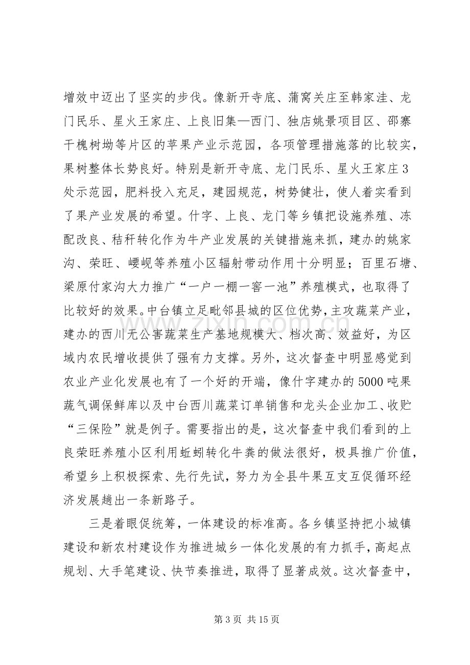 县长在重点工作督查大会发言稿.docx_第3页