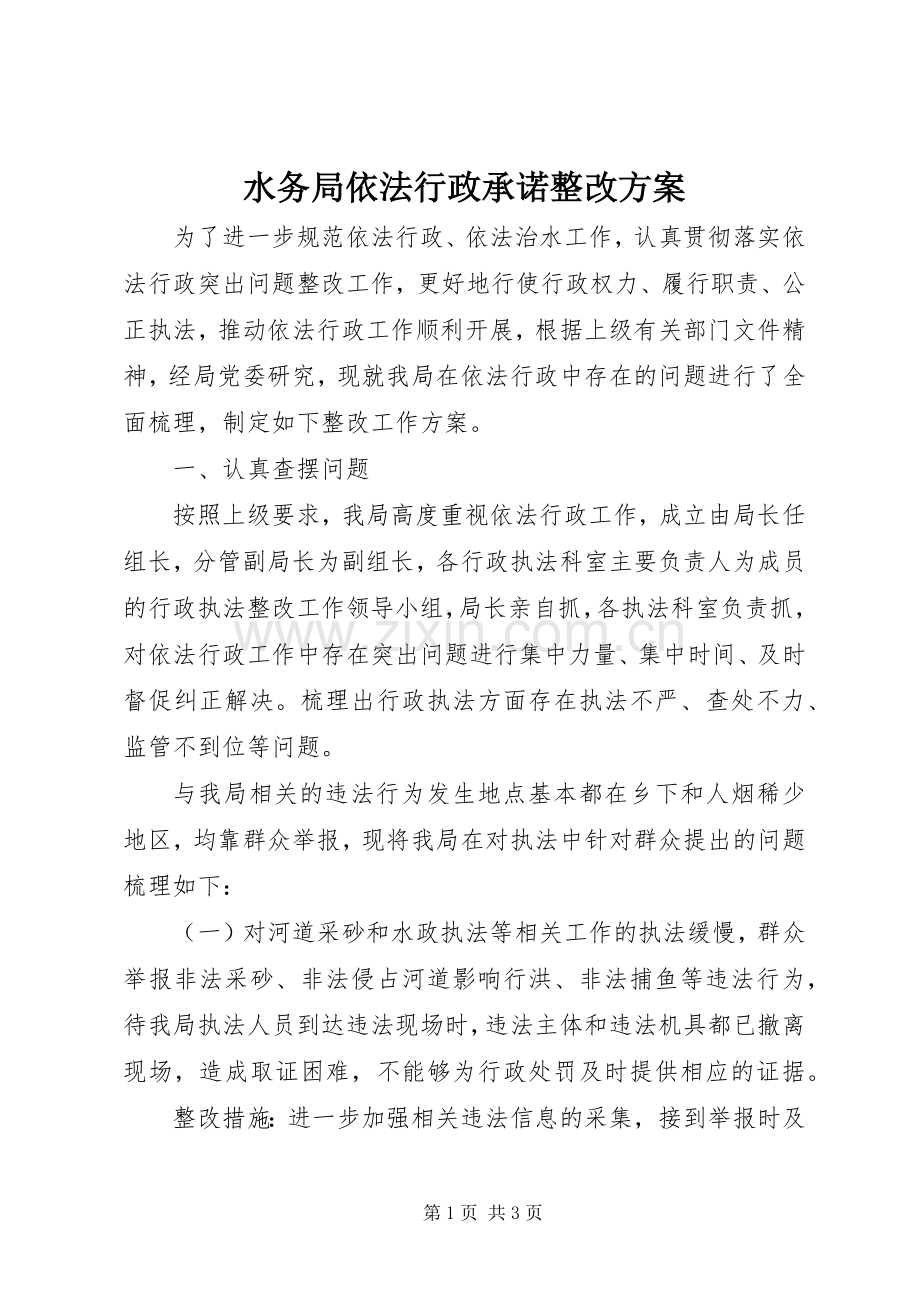 水务局依法行政承诺整改实施方案.docx_第1页