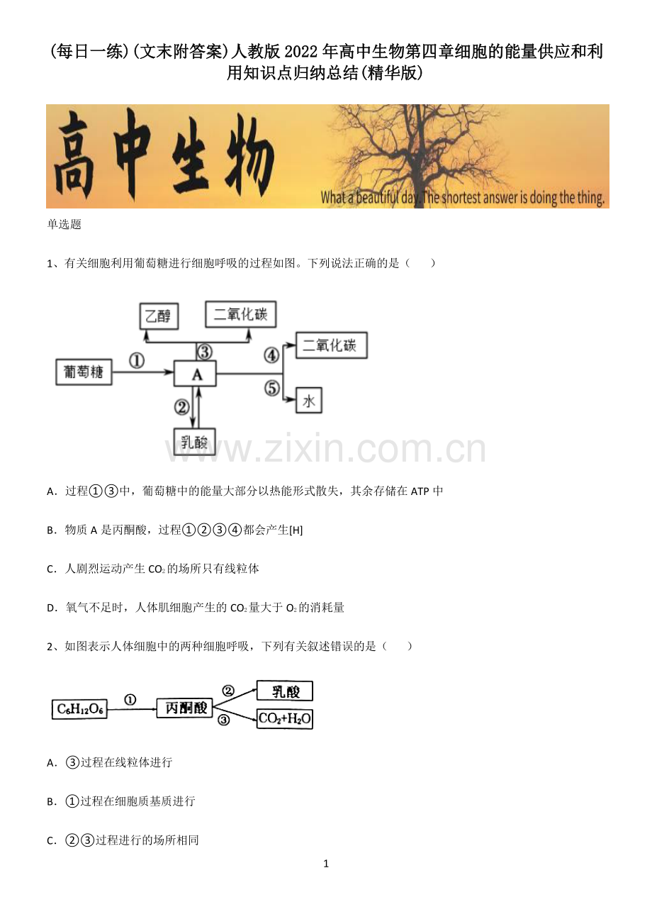 (文末附答案)人教版2022年高中生物第四章细胞的能量供应和利用知识点归纳总结.pdf_第1页