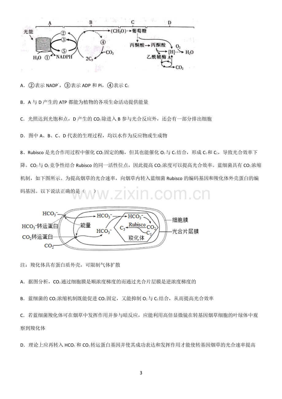 (文末附答案)人教版2022年高中生物第四章细胞的能量供应和利用知识点归纳总结.pdf_第3页