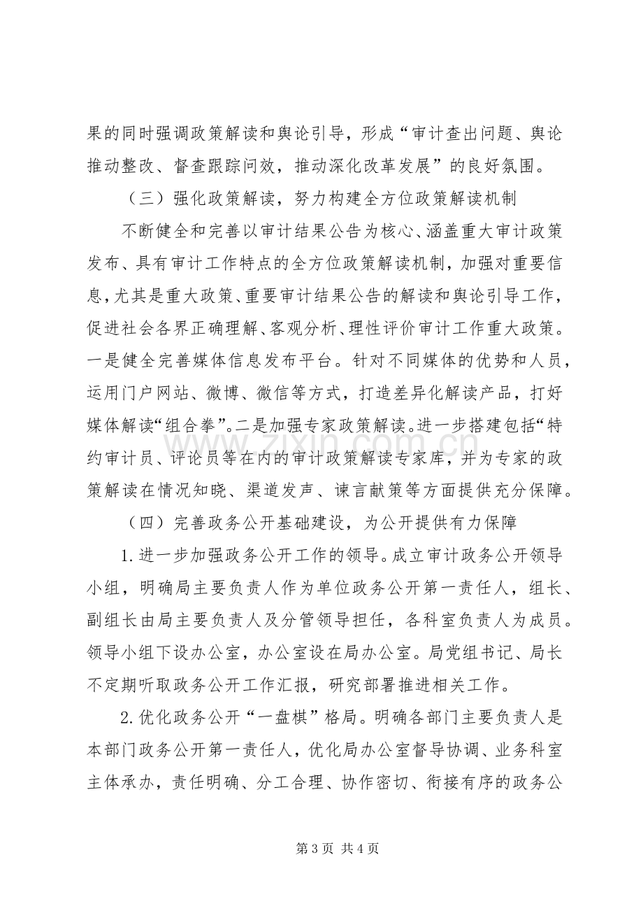 审计局政务公开方案范文.docx_第3页