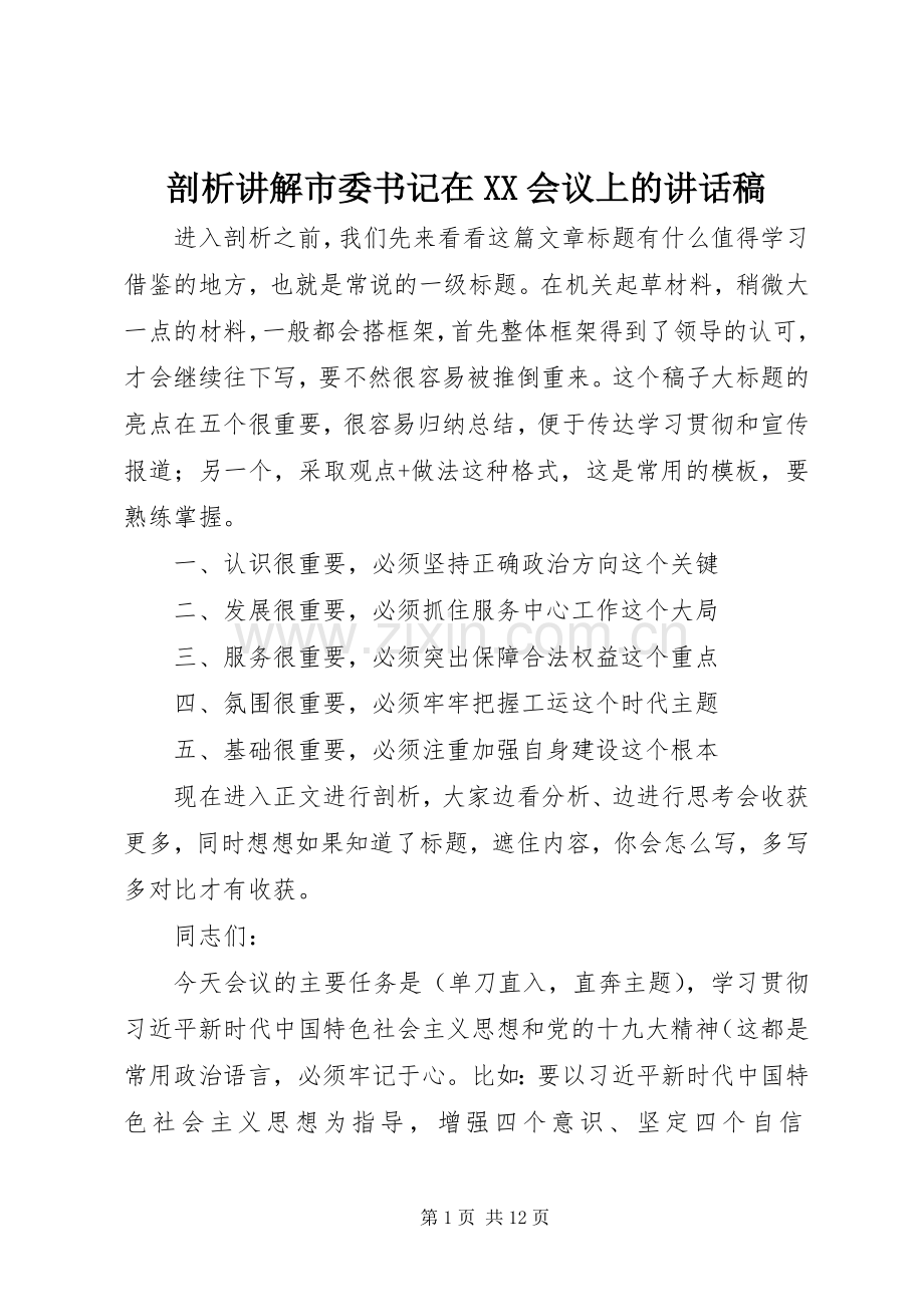 剖析讲解市委书记在XX会议上的讲话稿.docx_第1页