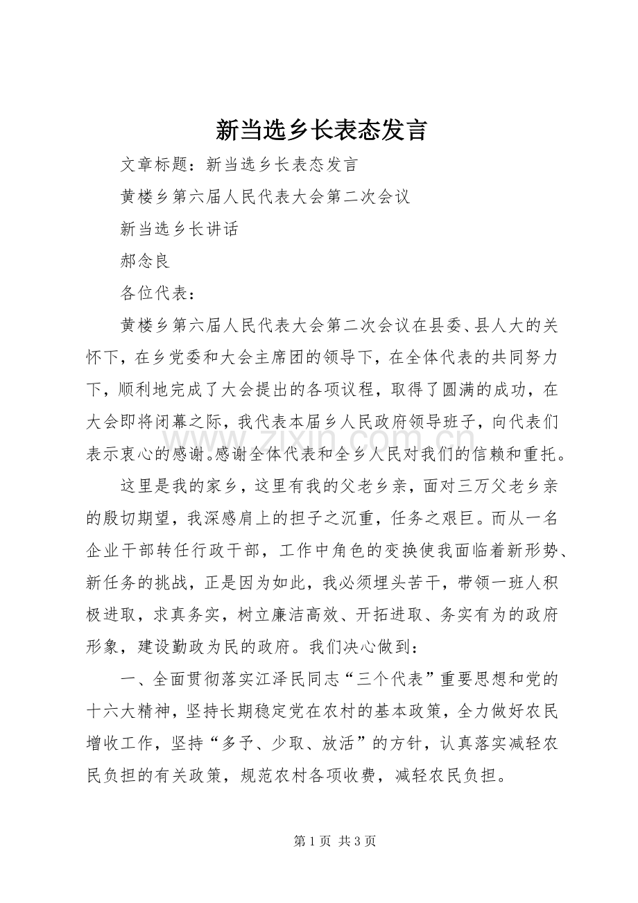 新当选乡长表态发言.docx_第1页