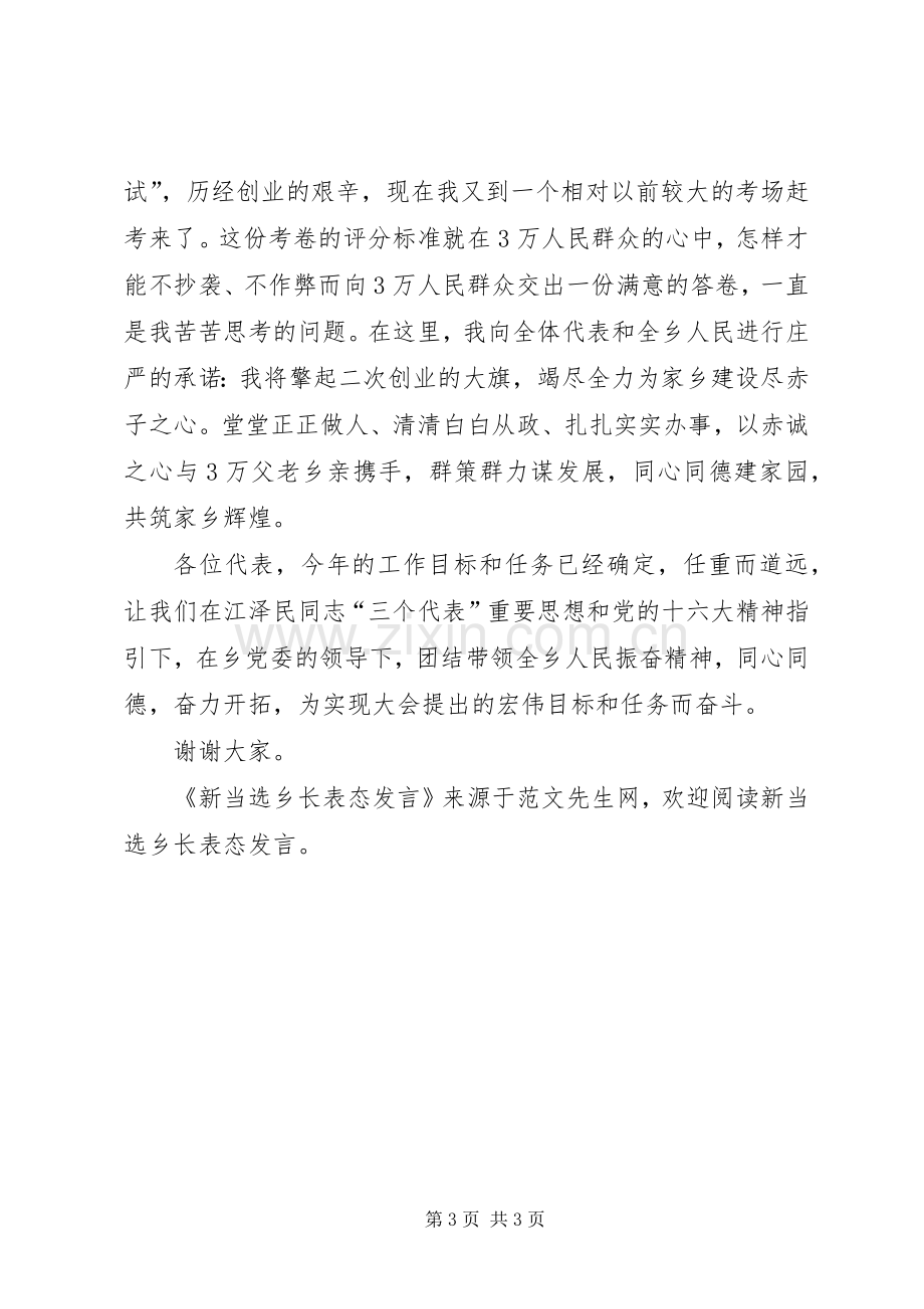 新当选乡长表态发言.docx_第3页