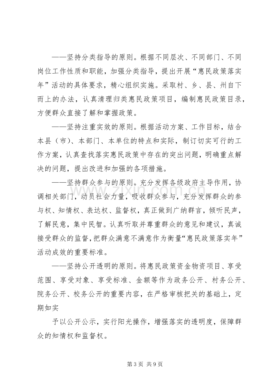 惠民政策落实年方案.docx_第3页