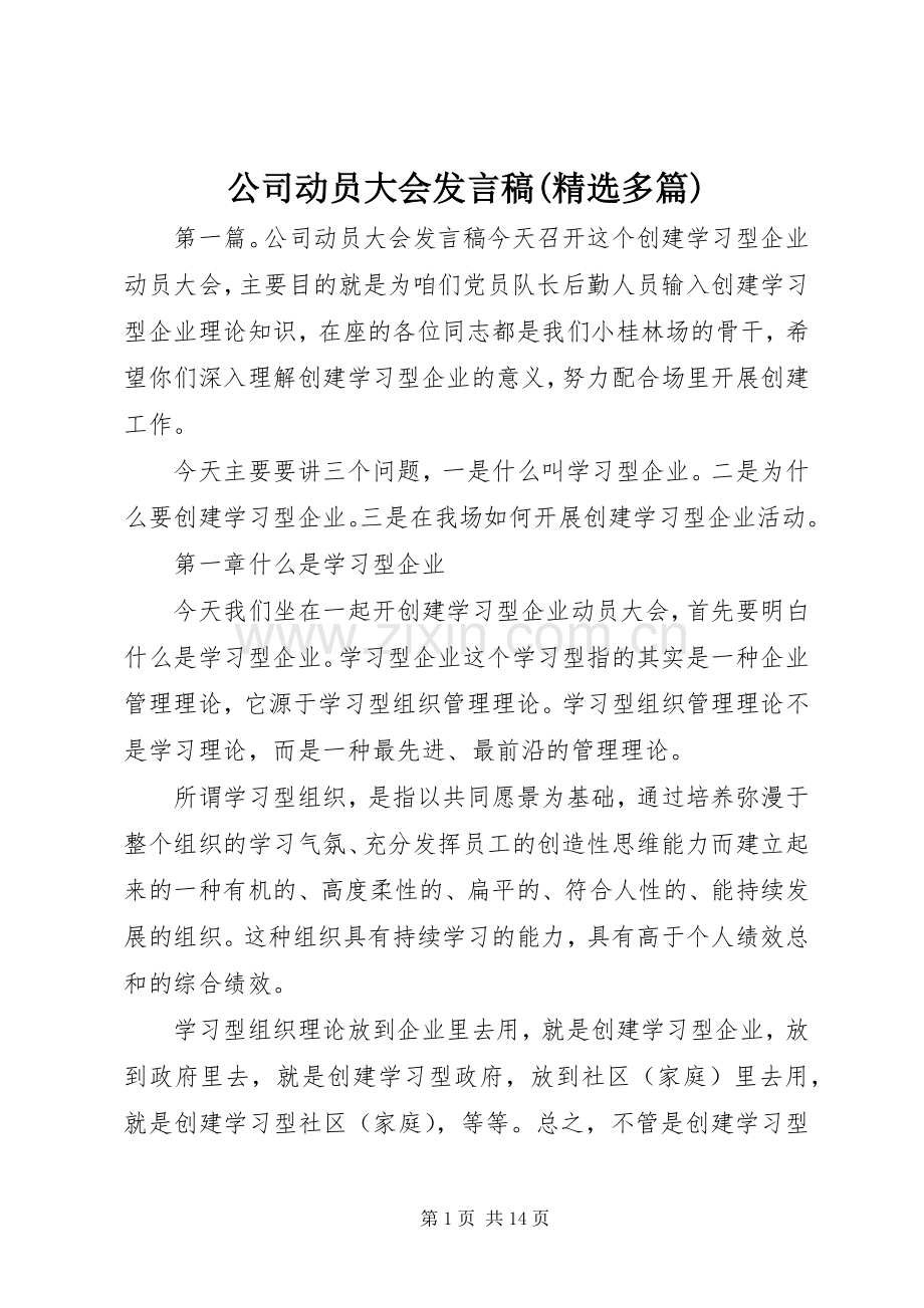 公司动员大会发言稿(多篇).docx_第1页