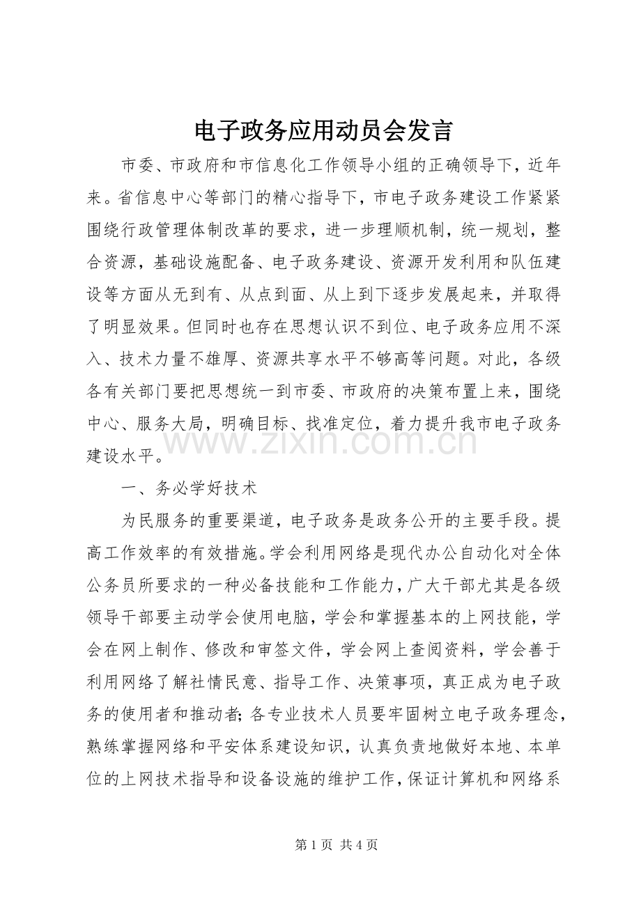 电子政务应用动员会发言稿.docx_第1页