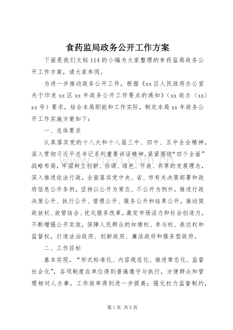 食药监局政务公开工作实施方案.docx_第1页