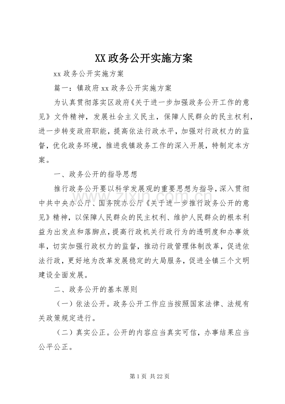 XX政务公开方案.docx_第1页