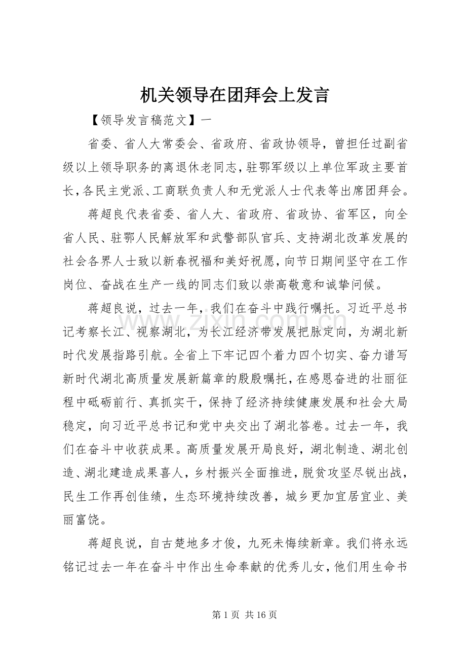 机关领导在团拜会上发言稿.docx_第1页