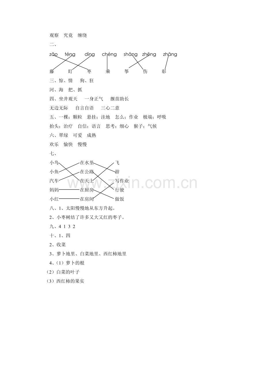 《一次有趣的观察》习题1.doc_第3页