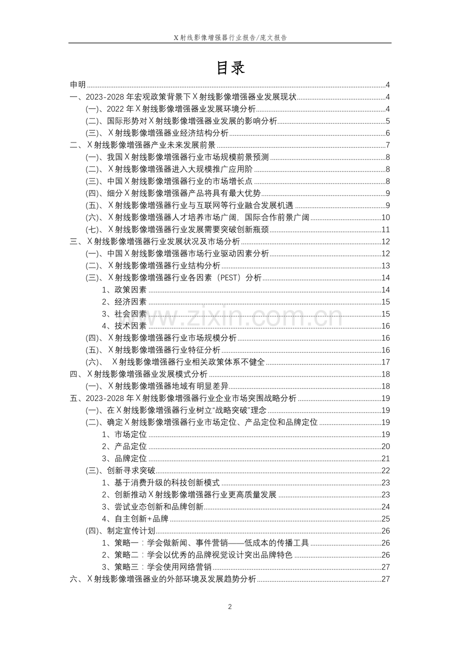 2023年X射线影像增强器行业市场突围建议及需求分析报告.doc_第2页