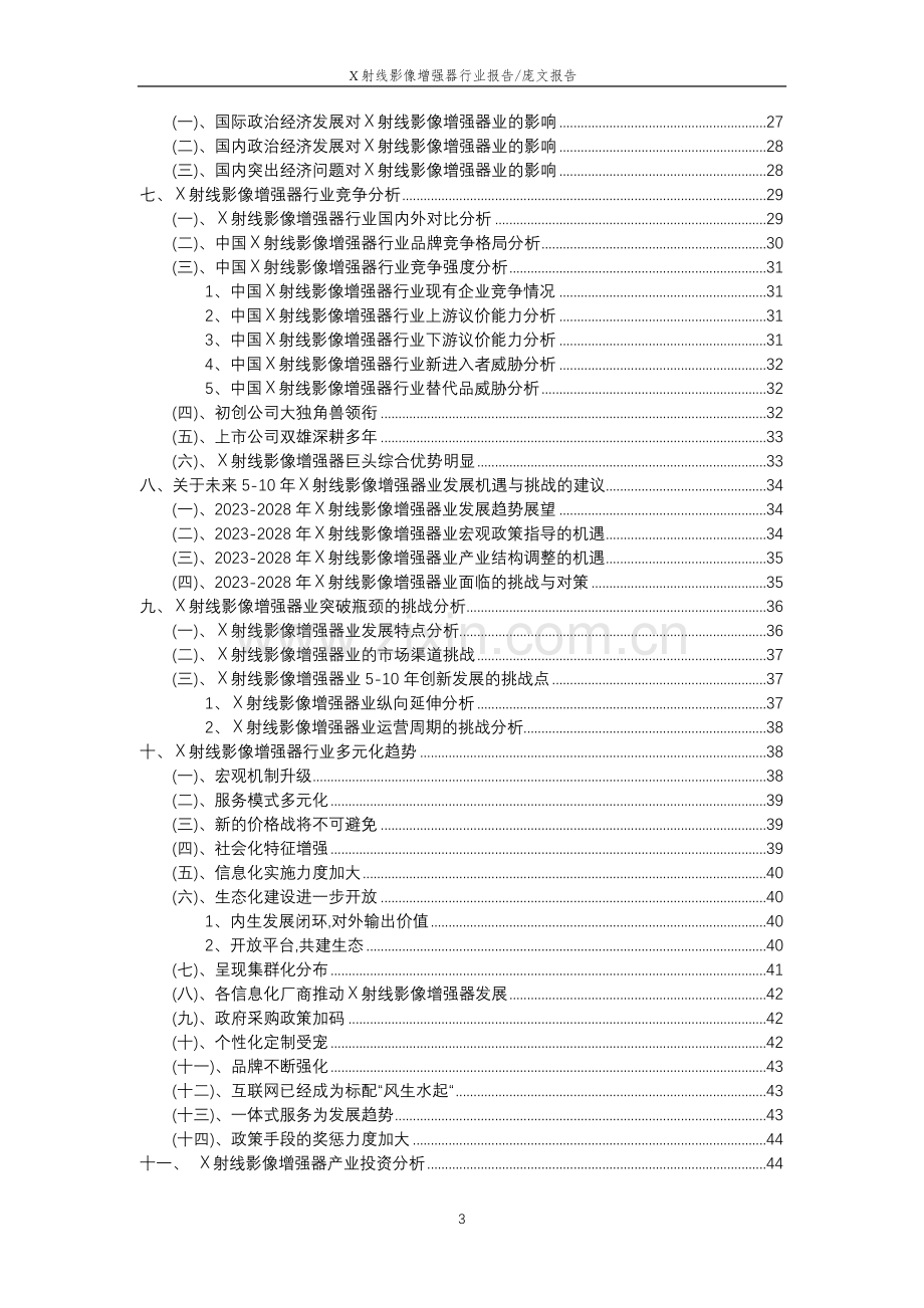 2023年X射线影像增强器行业市场突围建议及需求分析报告.doc_第3页