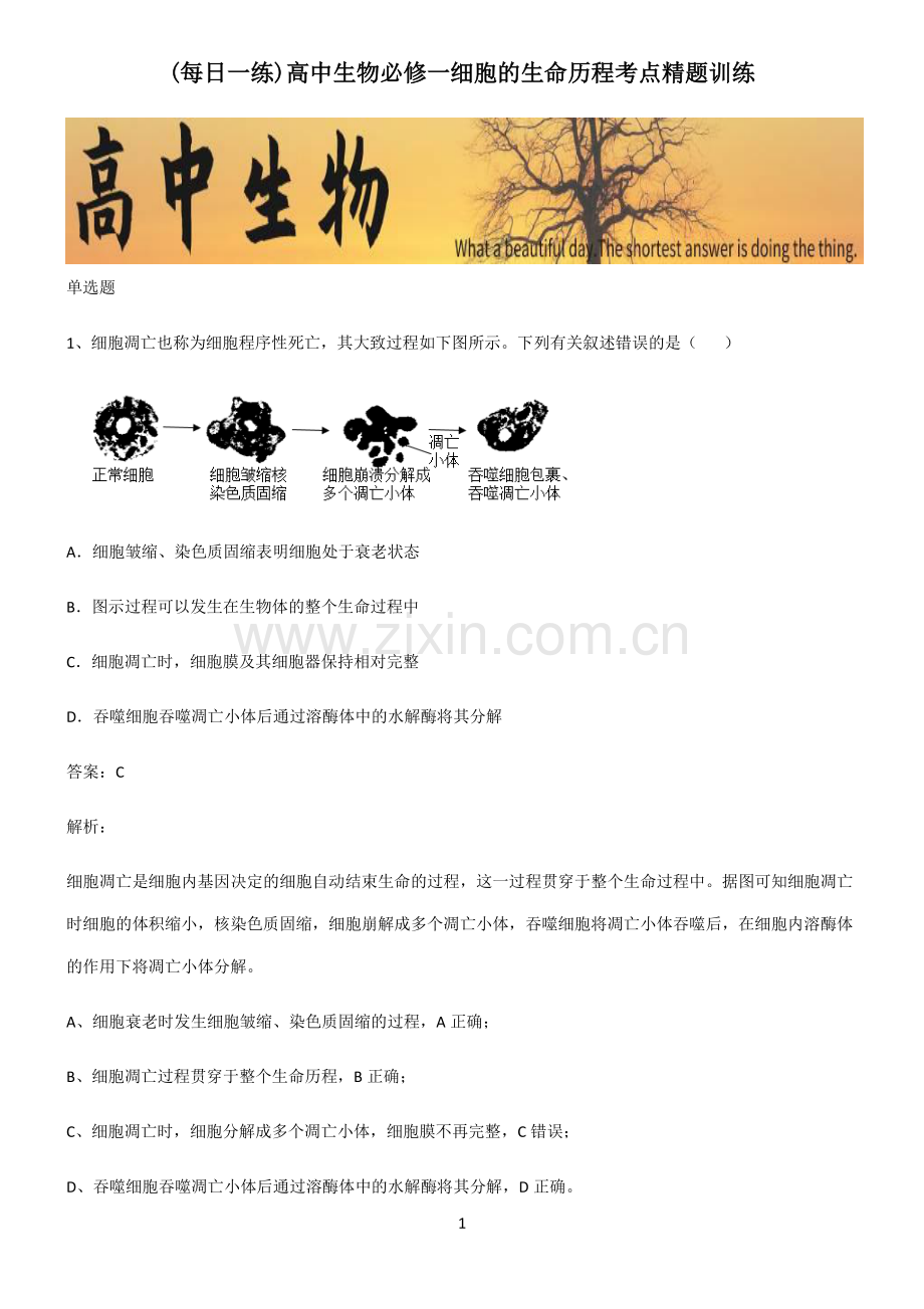 高中生物必修一细胞的生命历程考点精题训练.pdf_第1页