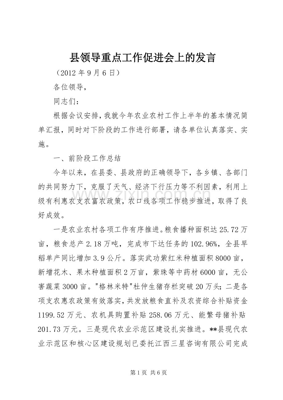 县领导重点工作促进会上的发言稿.docx_第1页