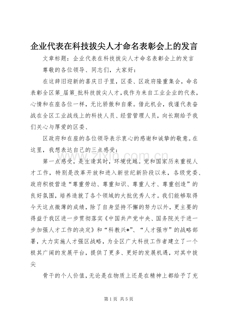 企业代表在科技拔尖人才命名表彰会上的发言.docx_第1页