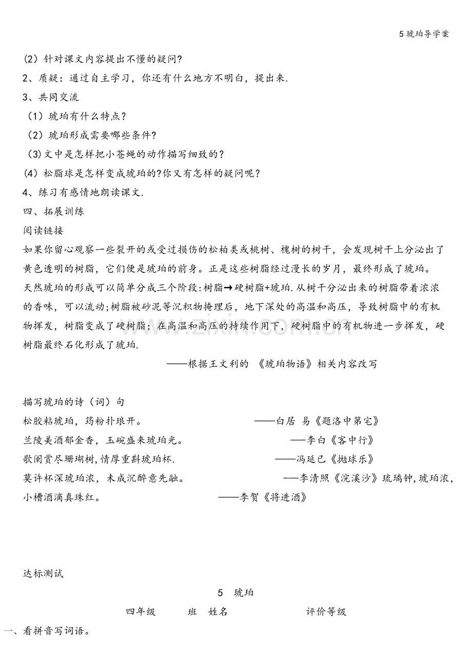 5琥珀导学案.doc_第2页