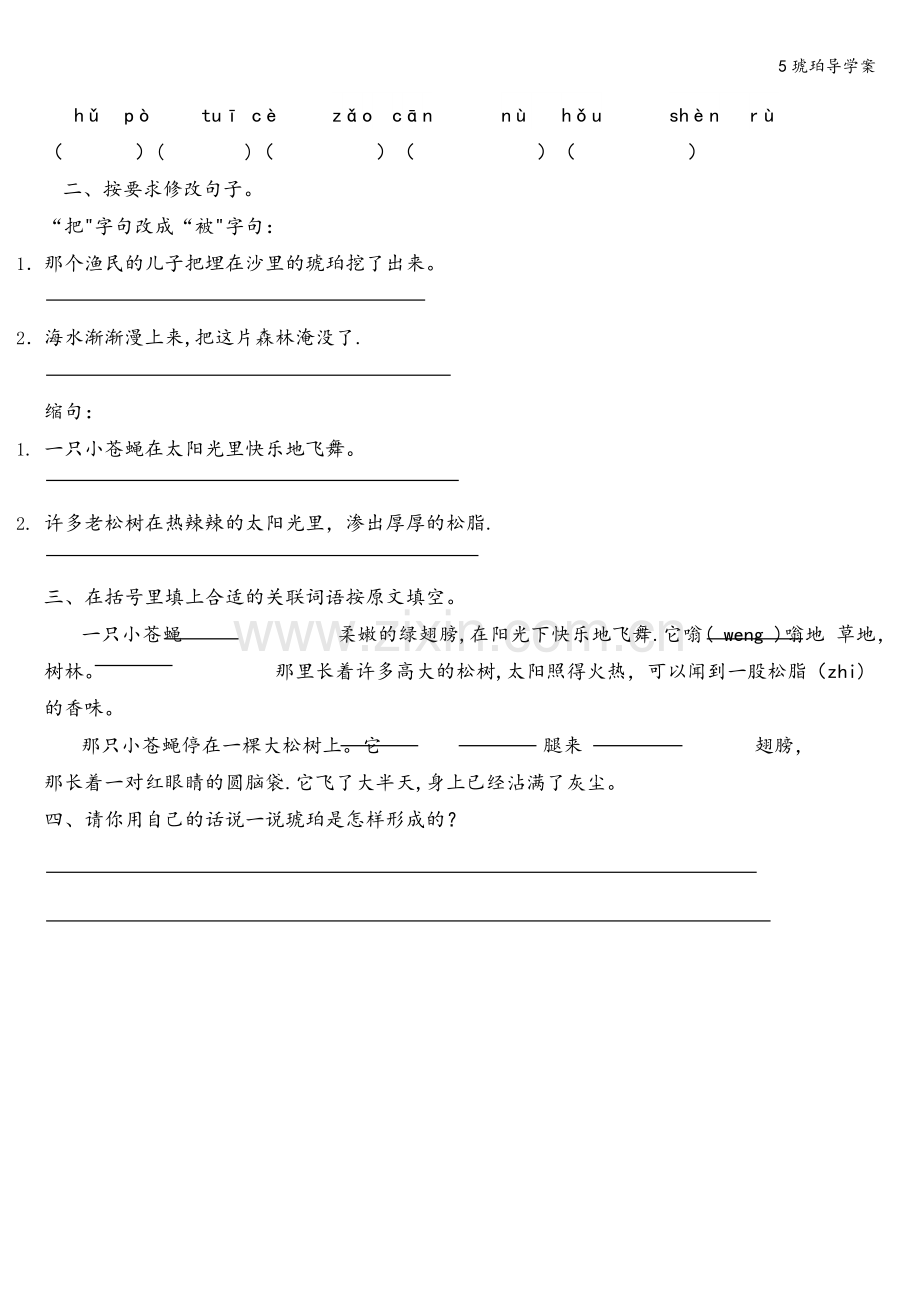 5琥珀导学案.doc_第3页