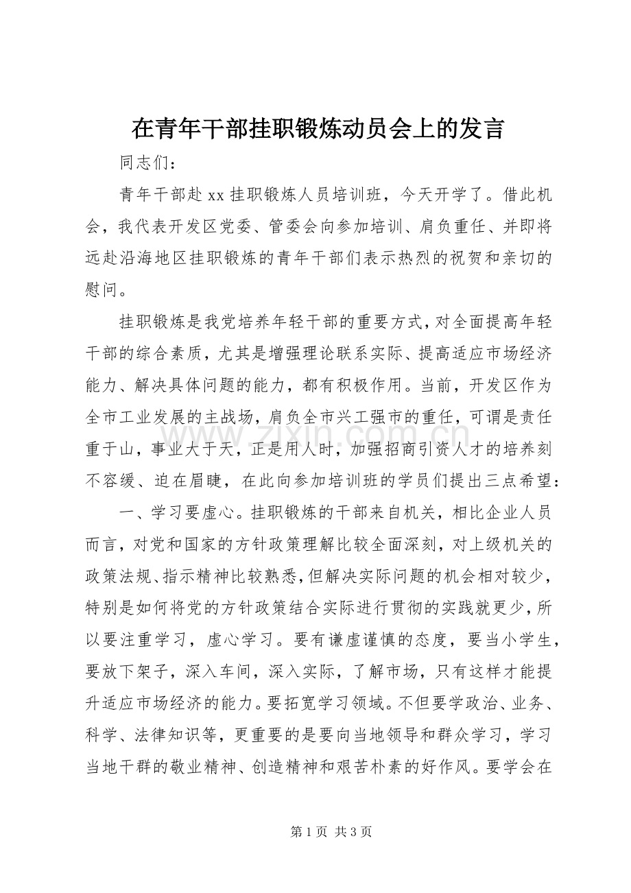 在青年干部挂职锻炼动员会上的发言稿.docx_第1页