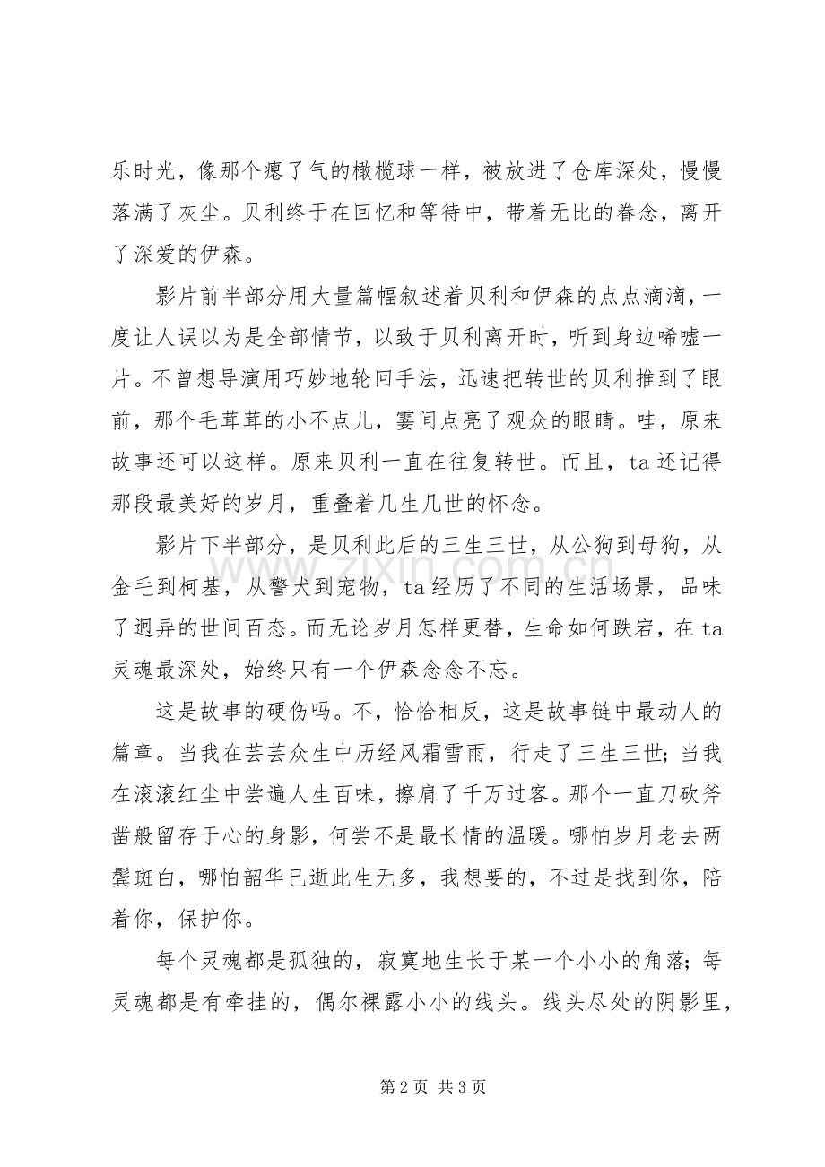 《一条狗的使命》观后感 .docx_第2页