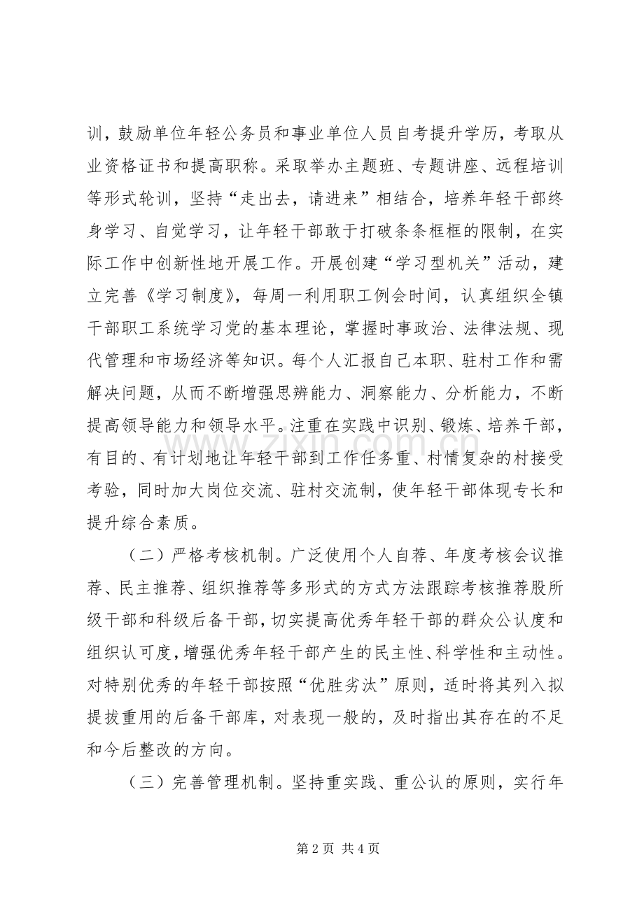 年轻干部培养选拔和使用管理实施方案.docx_第2页