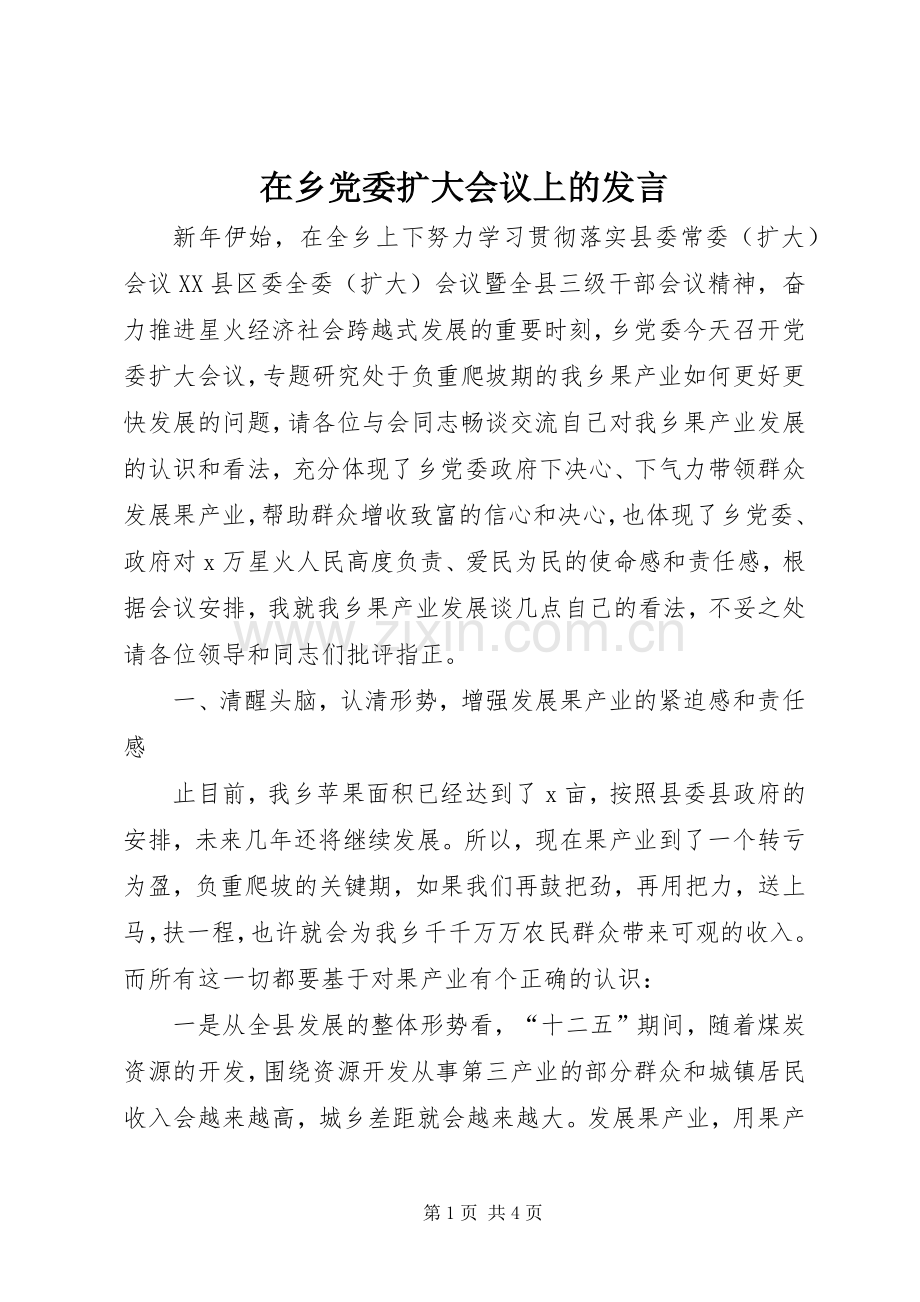 在乡党委扩大会议上的发言.docx_第1页