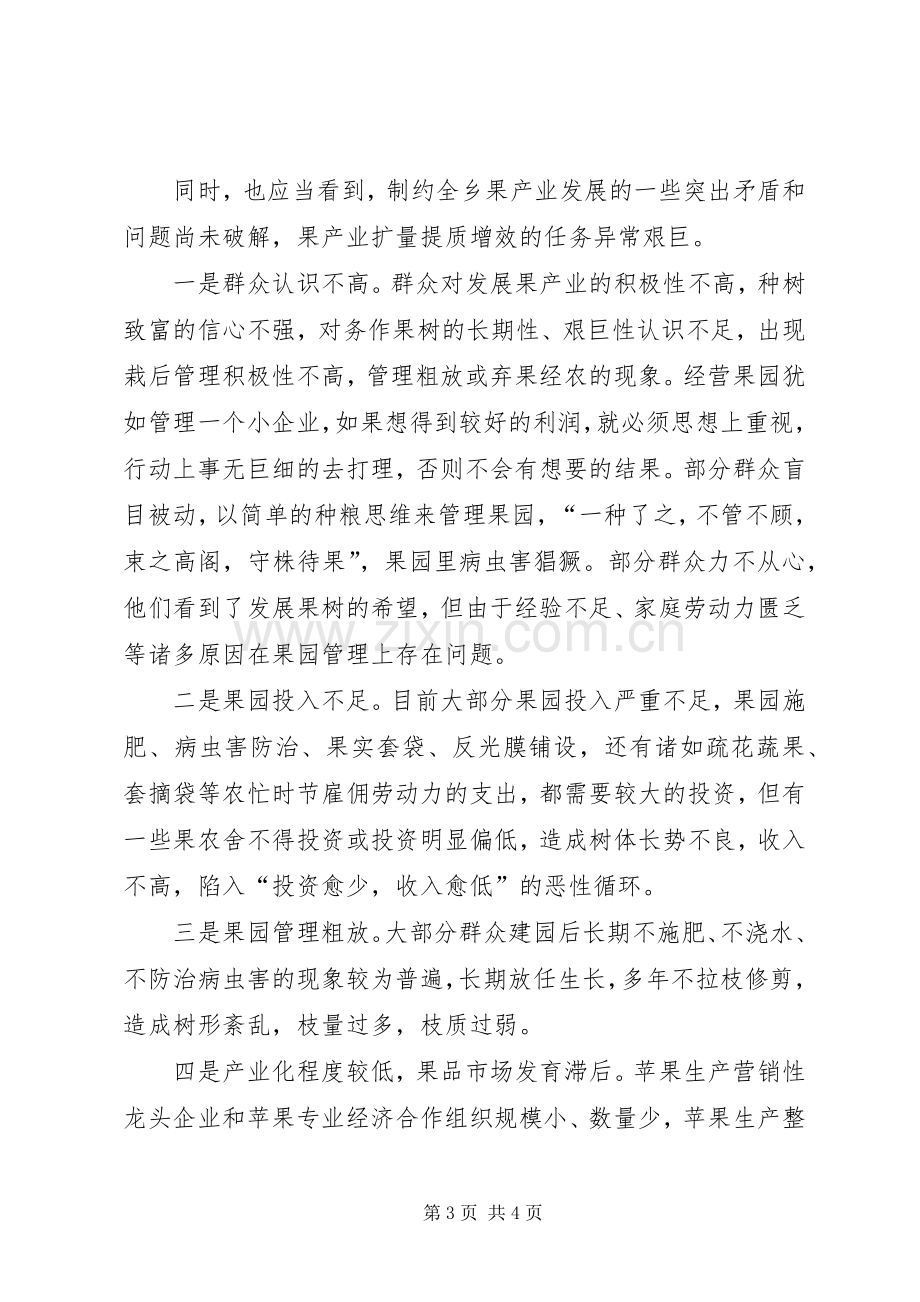 在乡党委扩大会议上的发言.docx_第3页