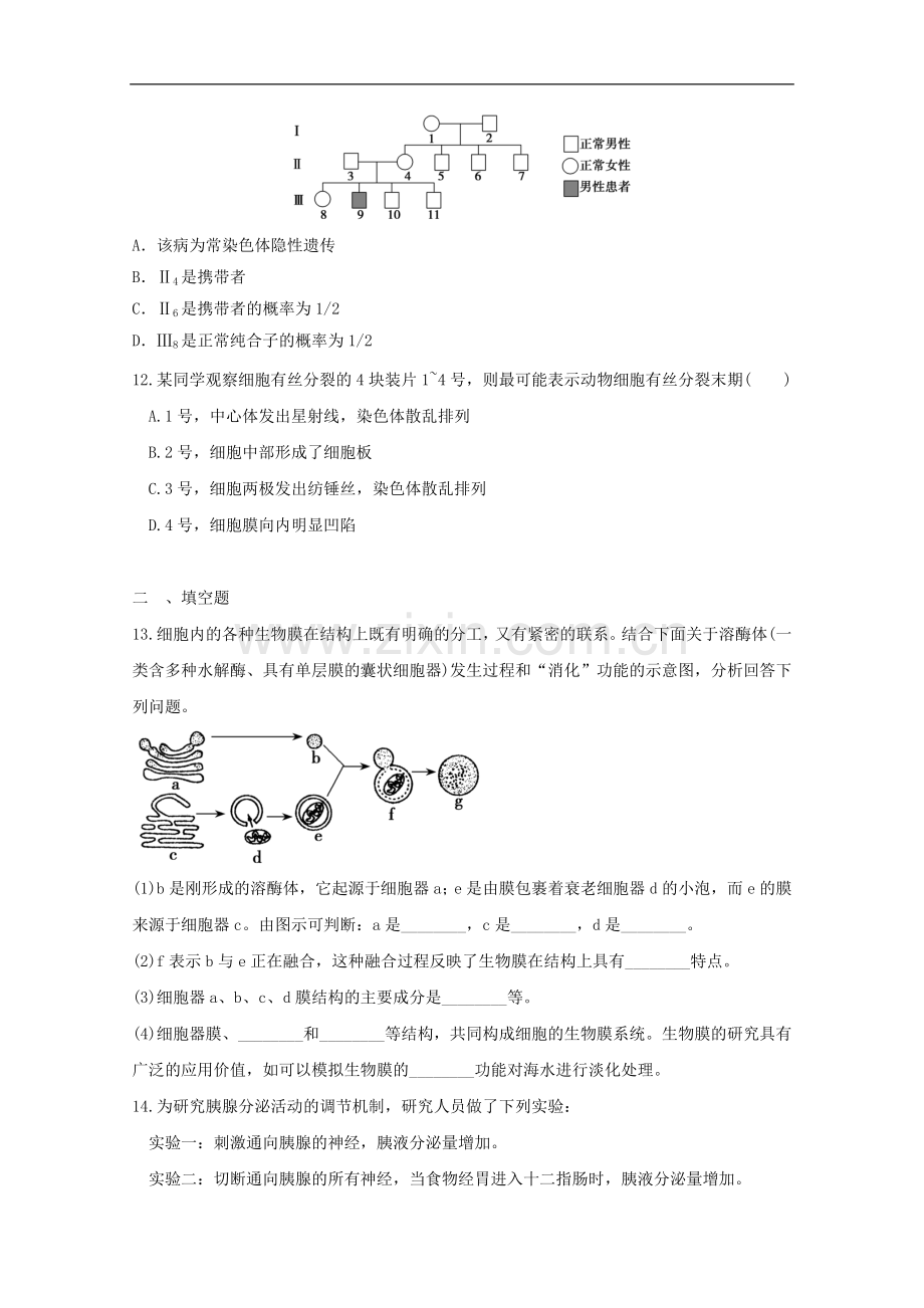 高三生物二轮-模块典题精练8-新人教版必修.doc_第3页