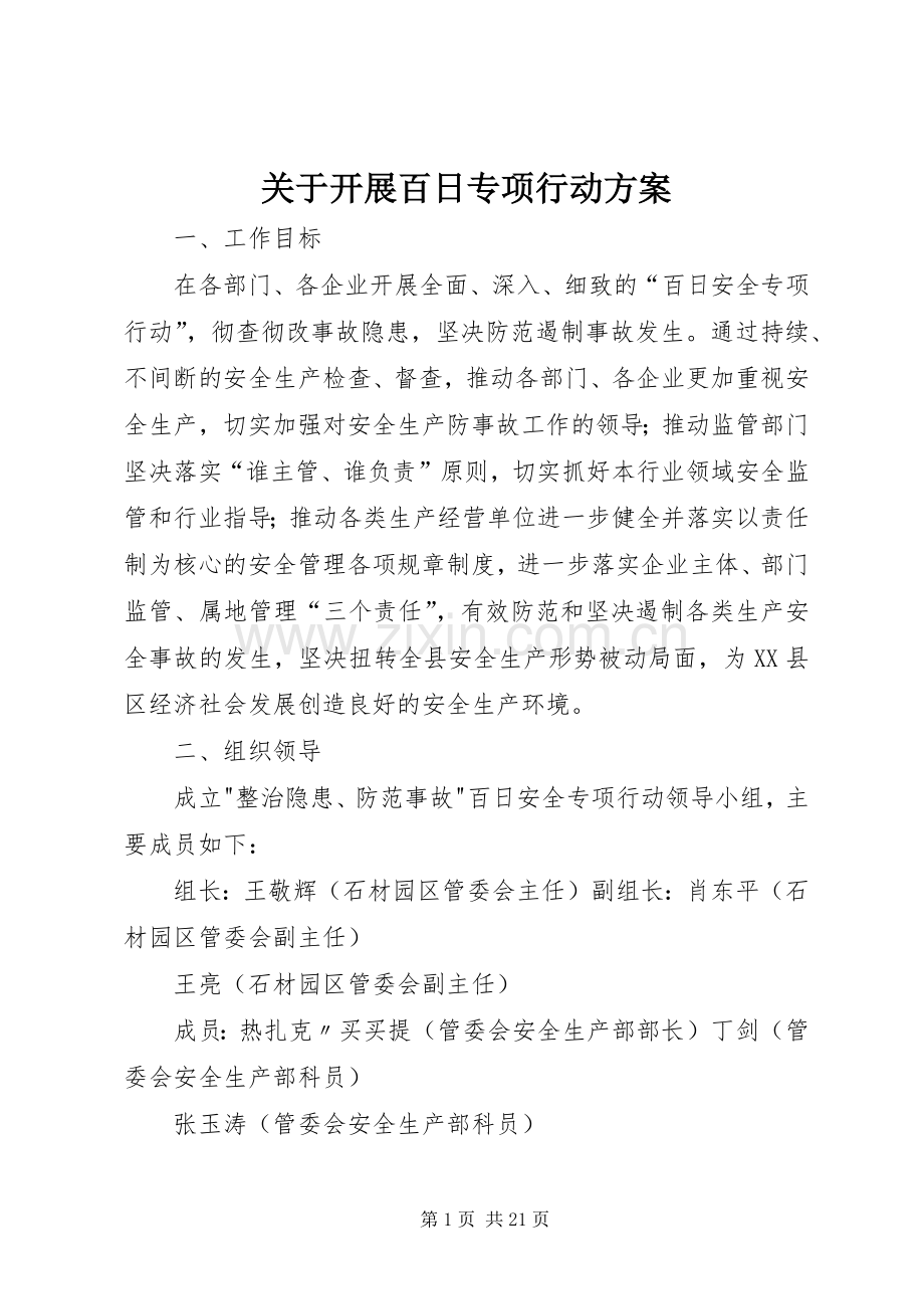 关于开展百日专项行动实施方案.docx_第1页