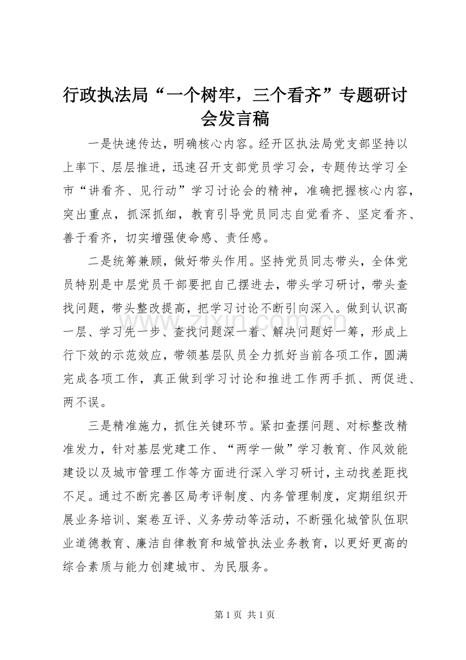 行政执法局“一个树牢三个看齐”专题研讨会发言.docx_第1页