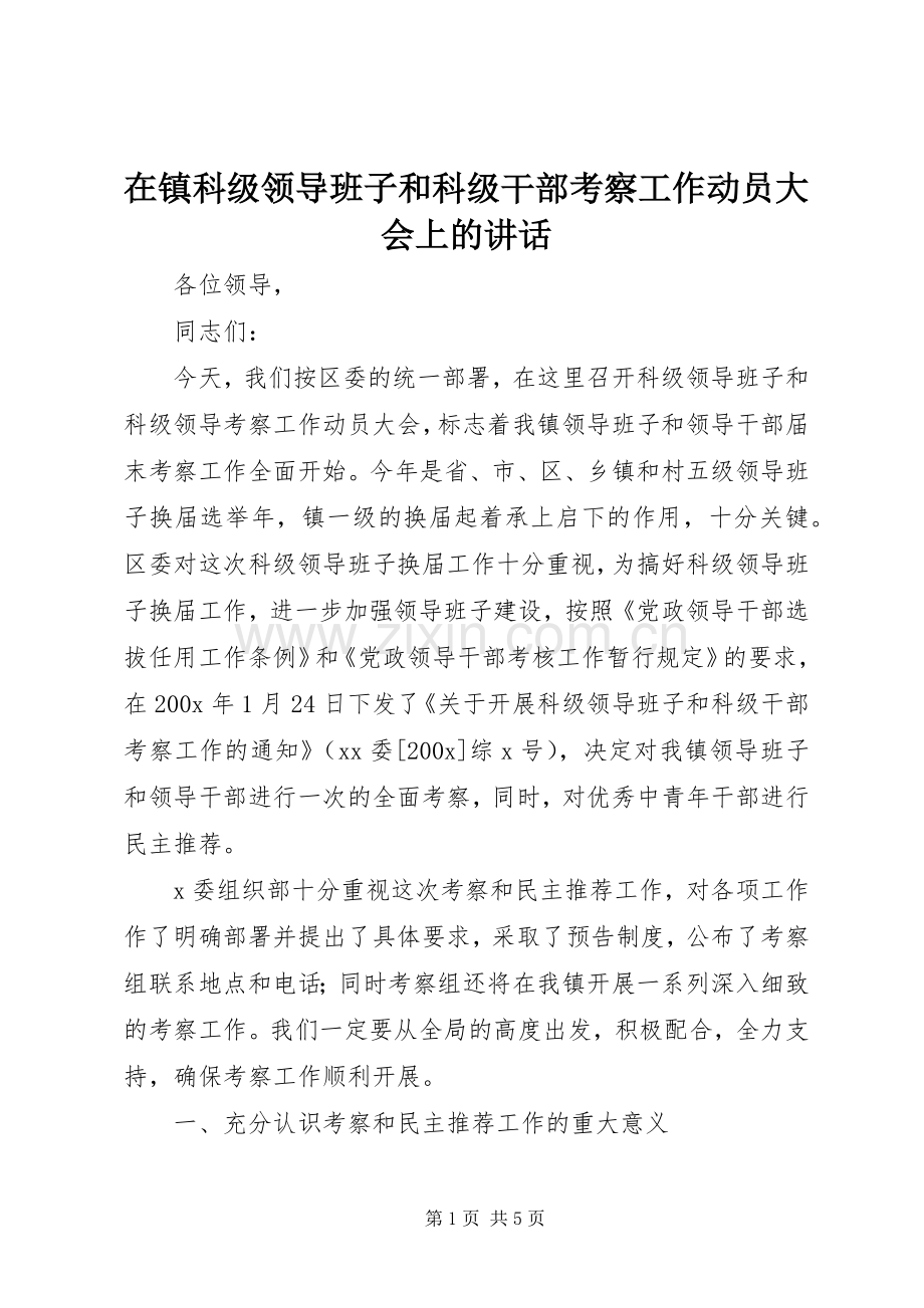 在镇科级领导班子和科级干部考察工作动员大会上的讲话.docx_第1页