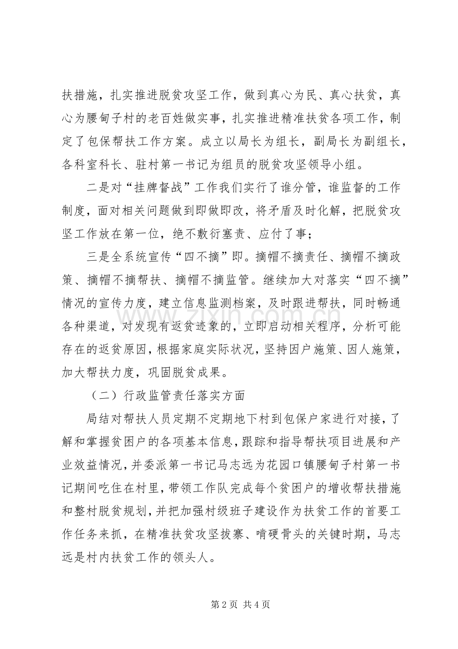 脱贫攻坚反馈意见整改落实实施方案.docx_第2页