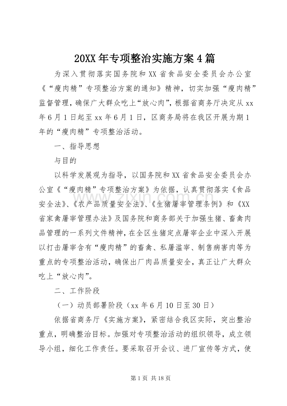 XX年专项整治方案篇.docx_第1页