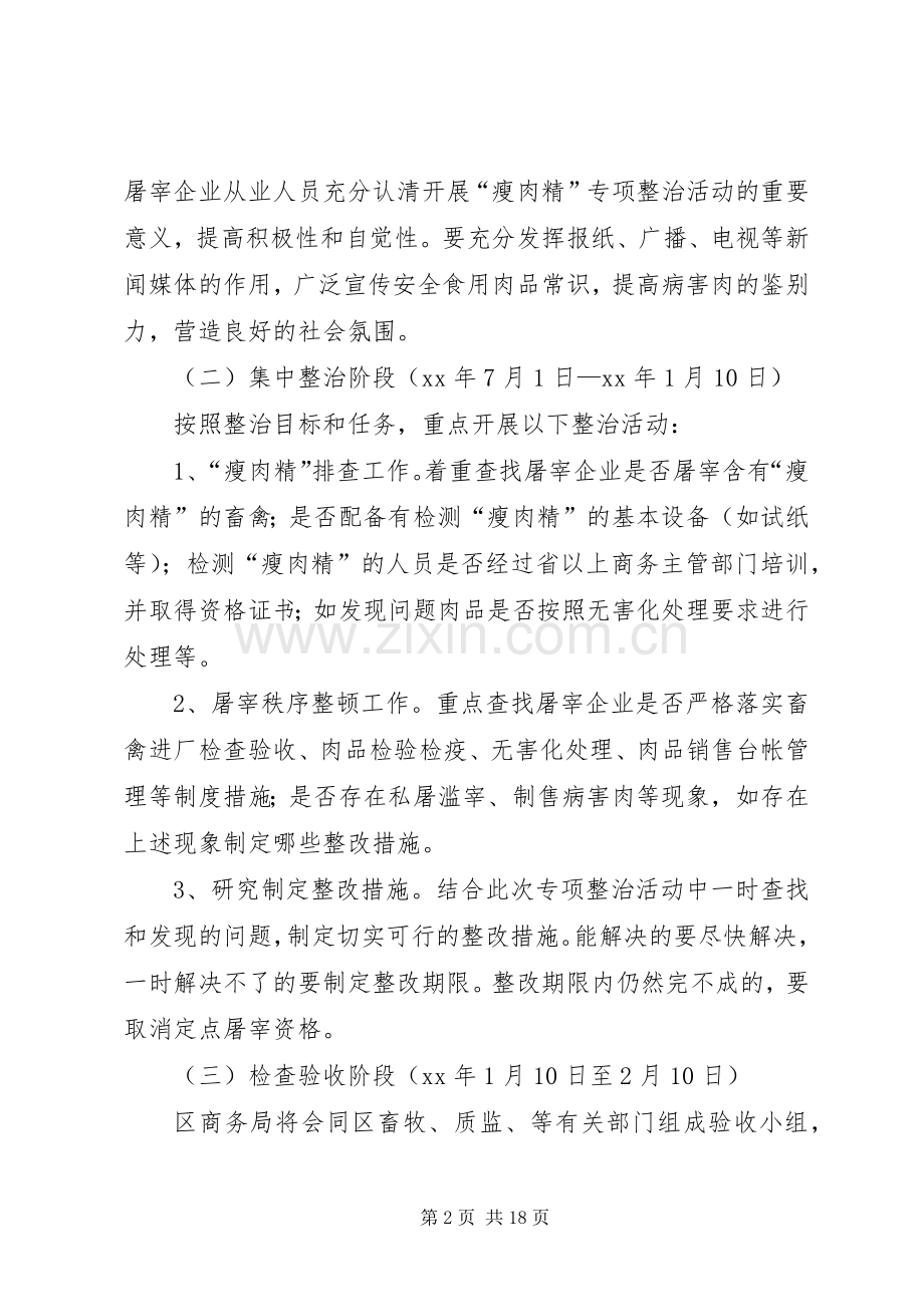 XX年专项整治方案篇.docx_第2页