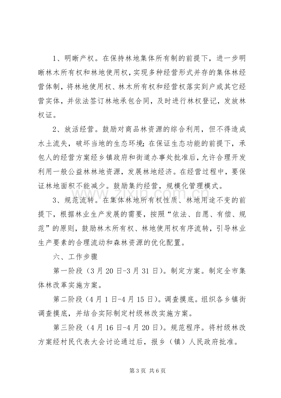 市集体林产权制度改革方案.docx_第3页